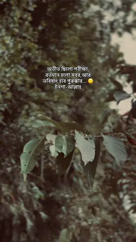 #viralvideo #foryoupage 