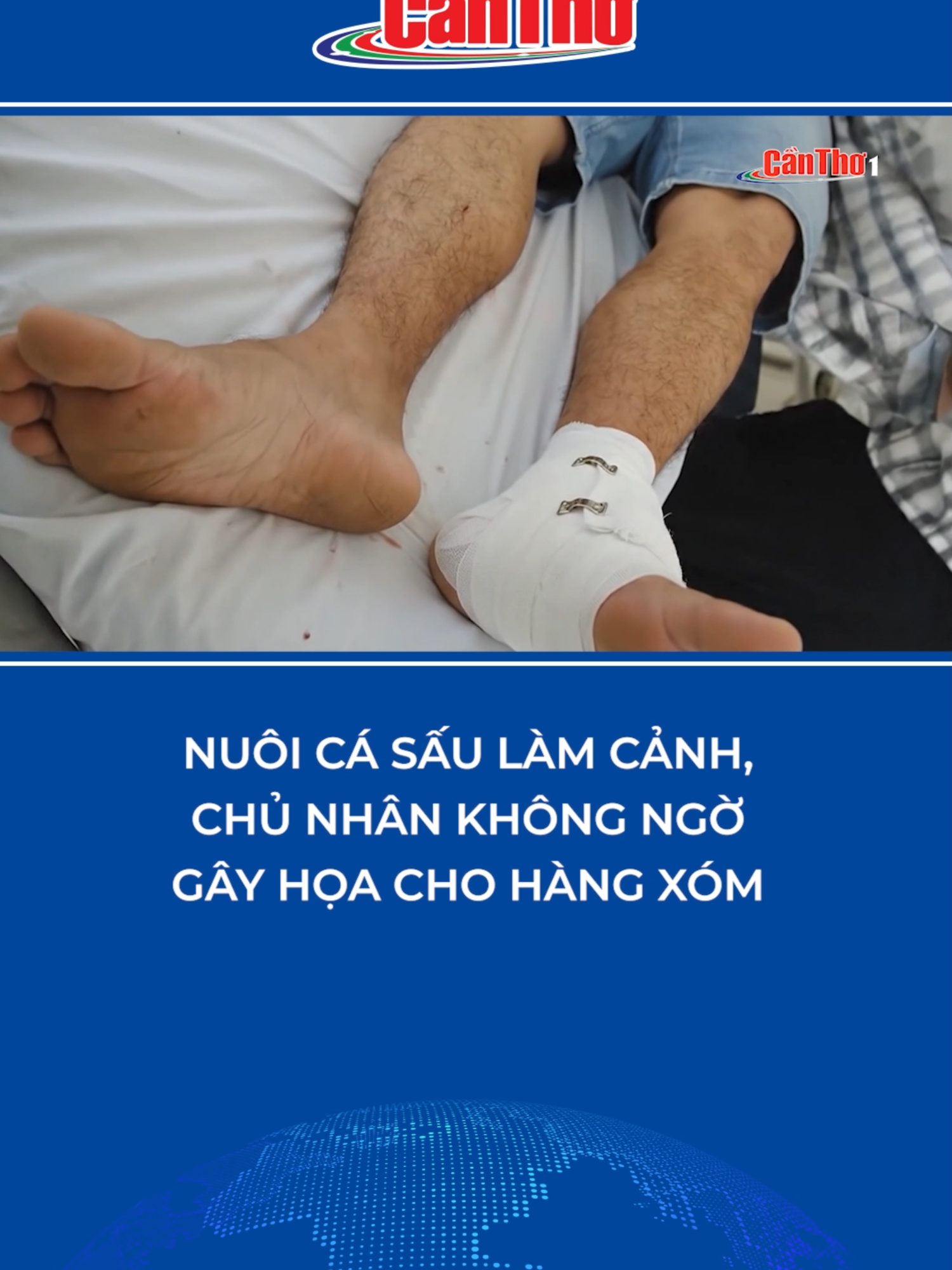 Nuôi cá sấu làm cảnh, chủ nhân không ngờ gây họa cho hàng xóm