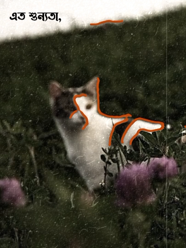 - এত শুন্যতা, এ মনে রাখি যে আমি.! 😩❤️‍🩹           #extra_ordinary_01 #fyp #foryoupage #viralvideo #aesthetic @TikTok @TikTok Bangladesh 