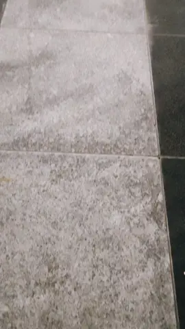 میں دیکھتا ہی رہوں بس تمھارے روزہ کو #creatorsearchinsights #صلوا_على_رسول_الله #نعت_رسول_اللہ_صلی_اللہ_علیہ_وسلم #foryou 