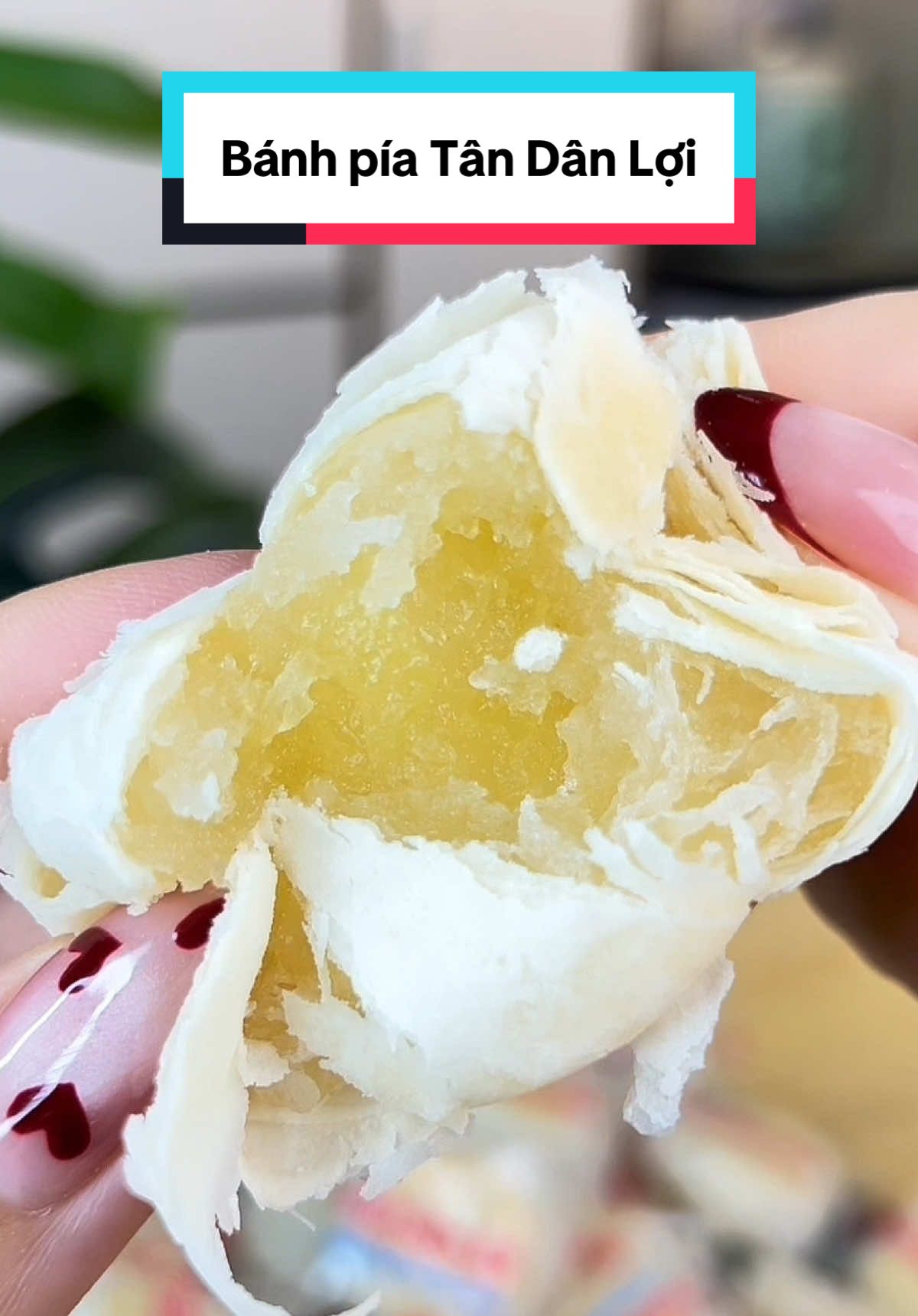 Bánh pía dừa non sầu riêng - gà quay thập cẩm Tân Dân Lợi #luuluutham #review #banhpiatandanloi #banhpiaduanonsaurieng #banhpia 