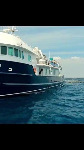 #___foryoupage___virlvidio___trading__ 