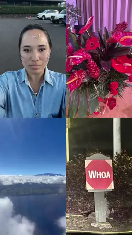 I love November already #hawaii 