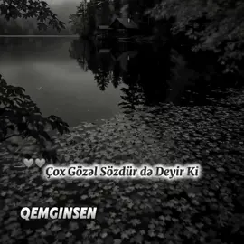 Ya Yaşayırsan Anlıyan Yox #qemginsen #Qemginsen #qemginsen #Qemginsen #Qemginsen 
