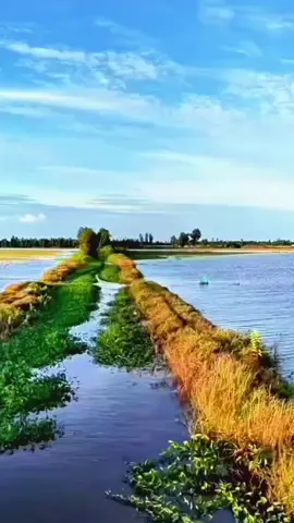 ngày xưa kia vì sao người đi bỏ a..