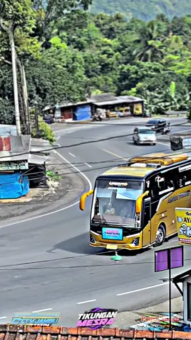 @ALYCA TRANS PEKALONGAN  #fypシ゚viral #cctvjambusisihkidul #cctvbusindonesia #busmaniacommunity #basuri 