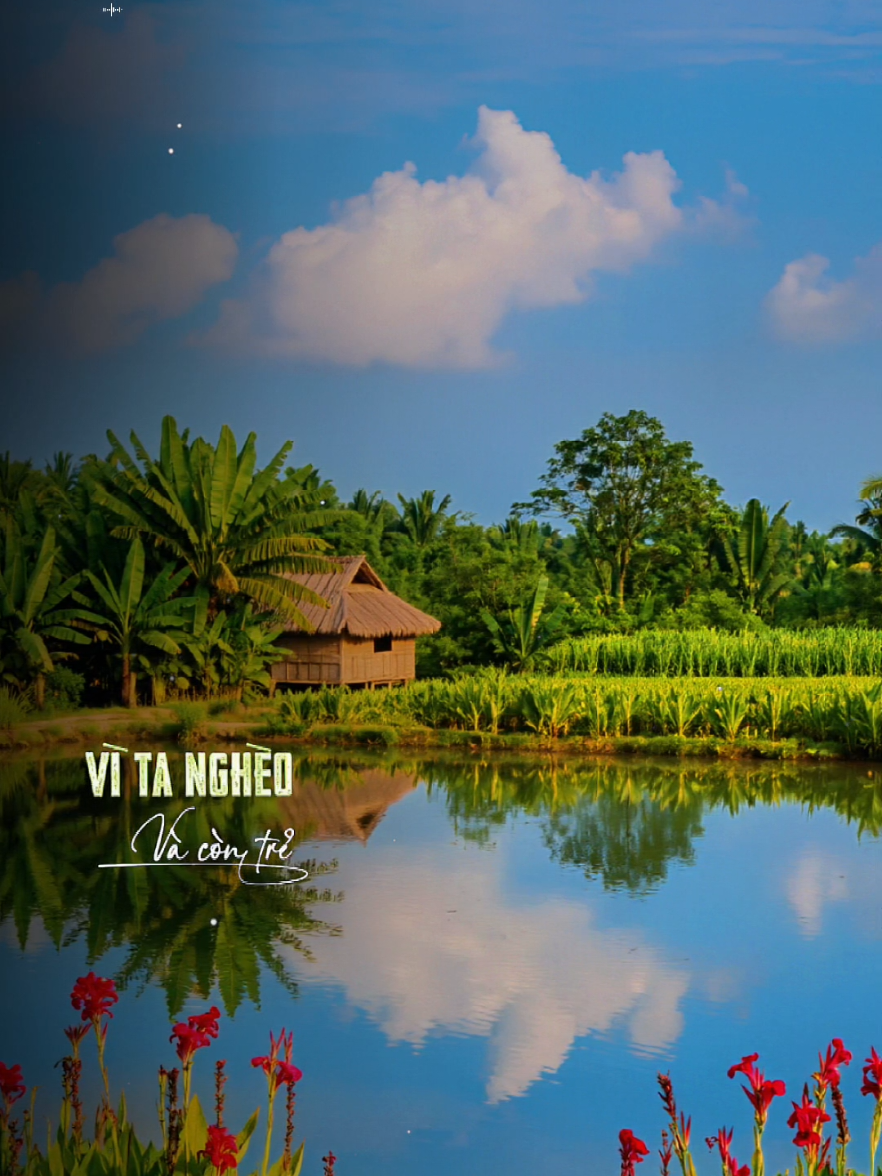 Một căn nhà mướn... #nhachaymoingay  #xuhuong2025  #foryou  #fyp  #tienst83 