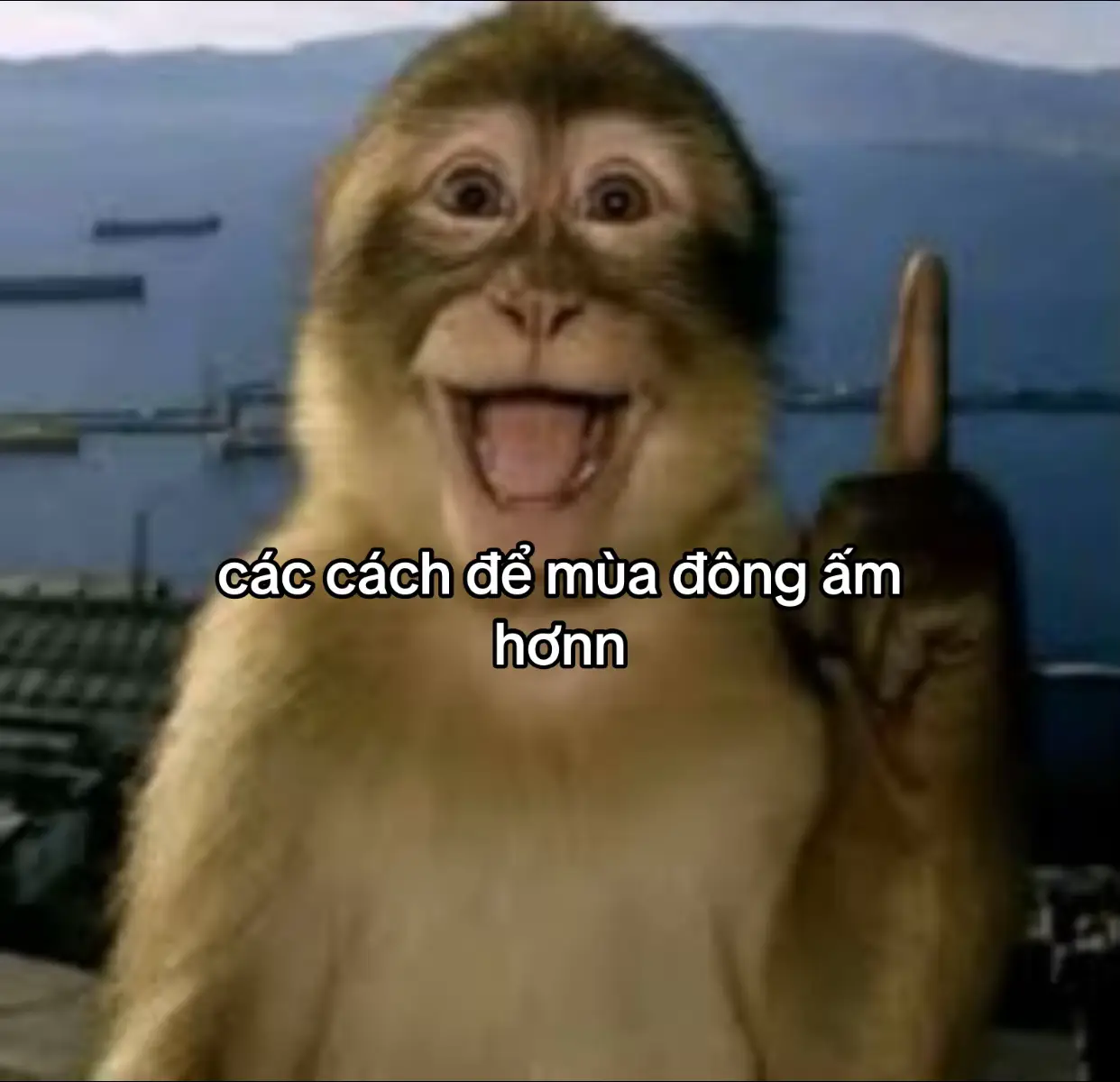 =))#viral #xh #xhuong #content #totinh