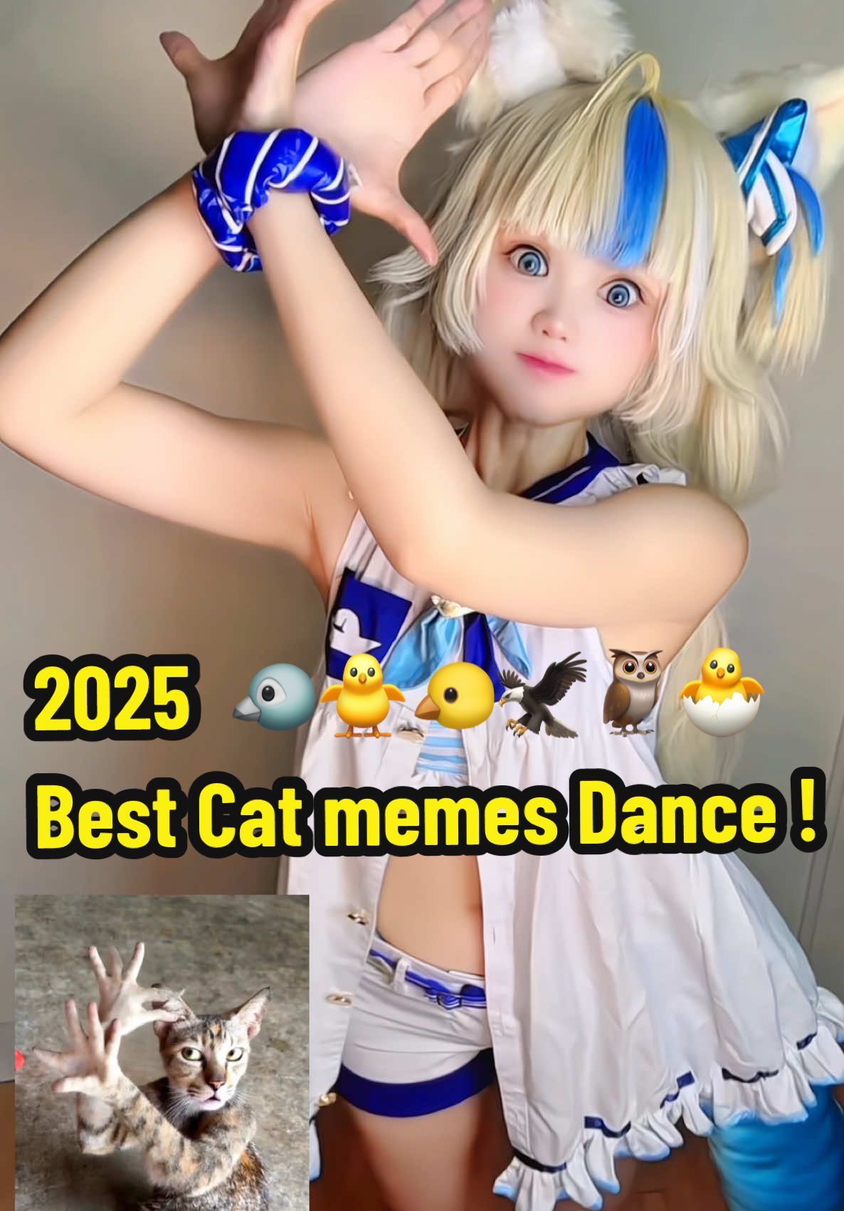 Oh Nyooo 🐦 2025 Best Cat memes Dance !  I'm not AI. You should all dance with me. Yay 💃🏻🕺 #samekosaba #saba #fyp 