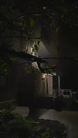 𝗙𝗲𝗲𝗹 𝗧𝗵𝗶𝘀 𝗦𝗼𝗻𝗴 🥺🥀 || 𝑹𝒆𝒑𝒐𝒔𝒕 𝑹𝒆𝒒𝒖𝒆𝒔𝒕 ||🫶🏼 . . . #views #Lyrics #shafa_aesthetics1 #aestheticvideos #unfreezemyacount 