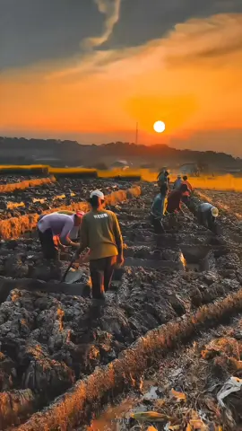 #papatahkahirupan  #papatahsunda  #cianjurstory  #masukberandamuu  #masukberandafyp 