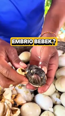 Bebek belum menetas, tapi sudah dimakan