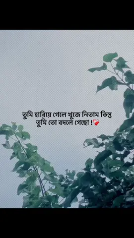 তুমি হারিয়ে গেলে খুজে নিতাম কিন্তু  তুমি তো বদলে গেছো !❤️‍🩹#foryou #trending #banglacaption #popularvedio#captionvedio 