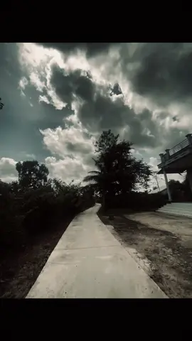 em đã nát hết..                                        #abcxyz#viral #typ#xh 