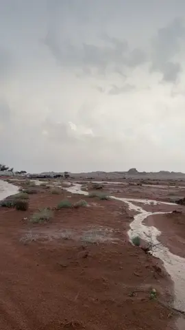 سبحان الله وبحمده...سبحان الله العظيم #امطار_حايل #حائل_بعد_حيي #حايلنا #اكسبلورexplore 