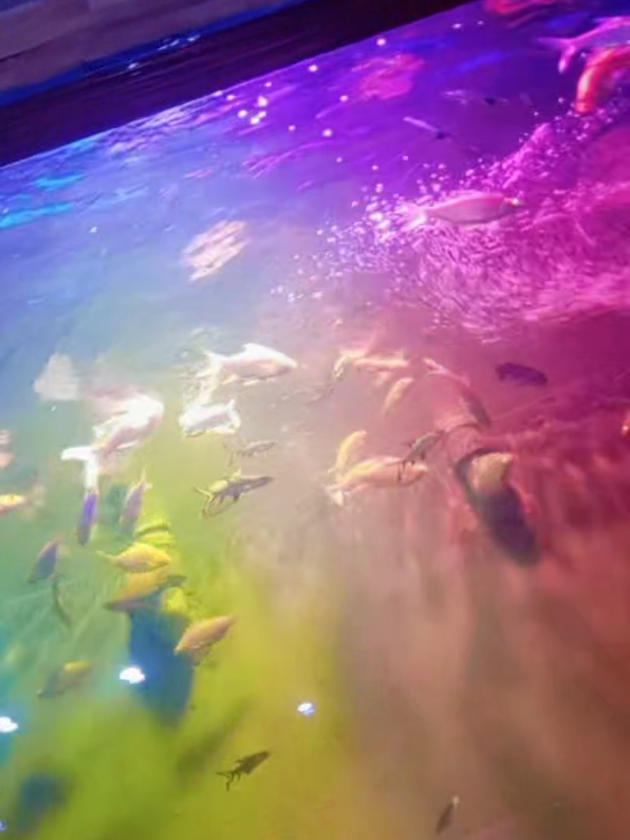 ماشاءﷲ ضرور بول دیا کریں 😊 #viral #foryoupage #foryou #tiktokviral #plztiktokdontunderreviewmyvideo 