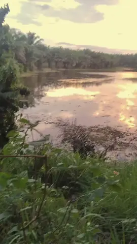 kesenangan seseorang... #pemandanganindah  #somebodyspleasure  #sunset  #fyp  #foryou 