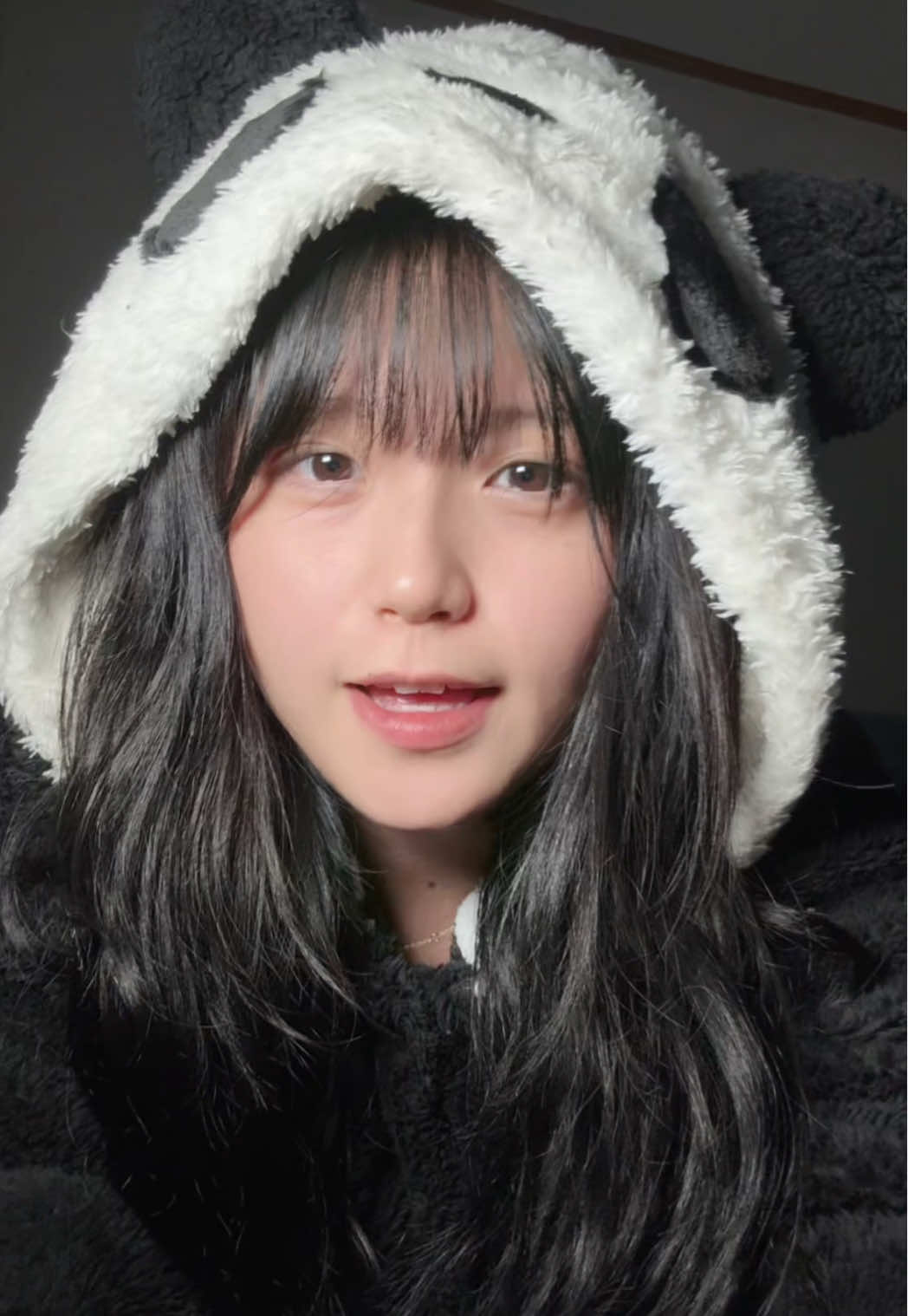 판다를 업신 여김 🥵