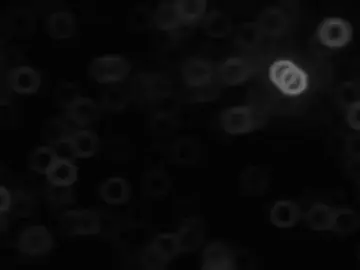 حـجـجُ الله #العباس_ابن_علي_ابن_ابي_طالب #ابوفاضل_العباس 