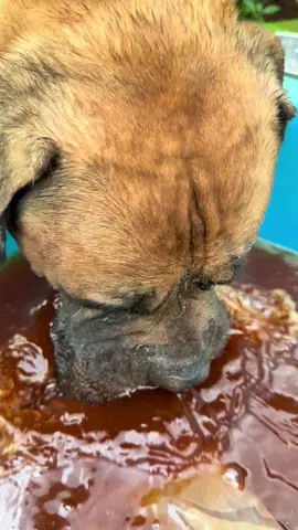 Héc win uống luôn chi các bác xem nè #dungbandogtaynguyen #thaoduoc #viral #xuhuong 