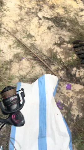 infokan joran terkuat 🥹#promomakanharian #fyp #promomakangajian #mancingliar #storymancing 