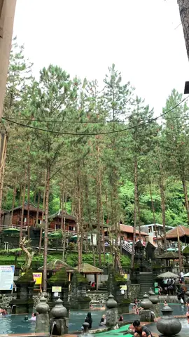 baline tegal#xyzbca#tegalpeacefully#guciflorestegal#balivibes 