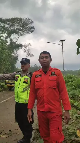 Alhamdulillah sudah bisa dilalui... Jalur Blora Randublatung depan SMAN 1 Randublatung sempat macet akibat pohon Tumbang... #masukberanda #infoblora #fyp #foryoupage #tiktokindo 