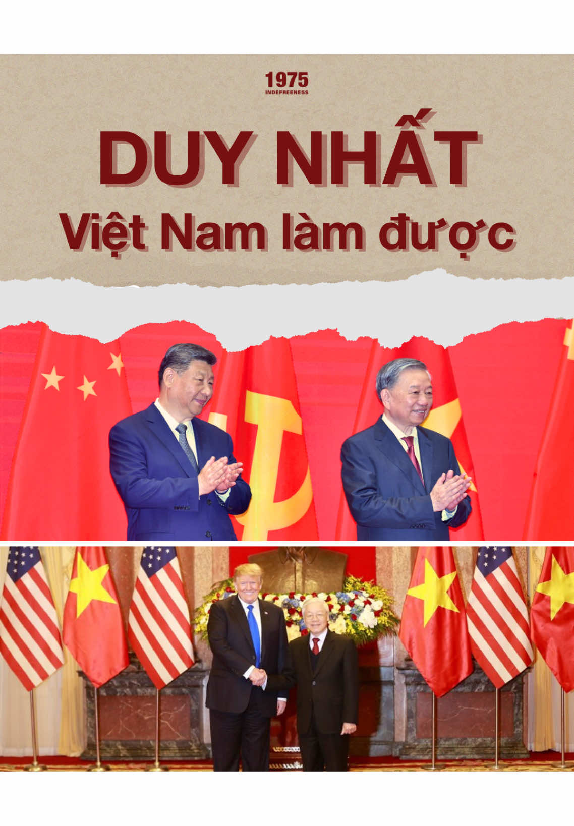 🇻🇳 Đối tác chiến lược toàn diện 