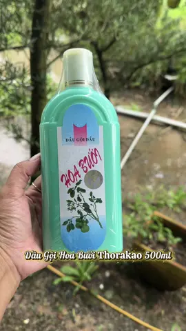 Dầu gội hoa bưởi Thorakao hàng Việt Nam chất lượng cao nha cả nhà #daugoihoabuoi #daugoithorakao #thorakao 