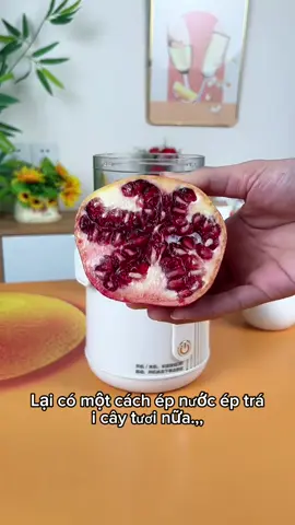 Máy ép nước trái cây 