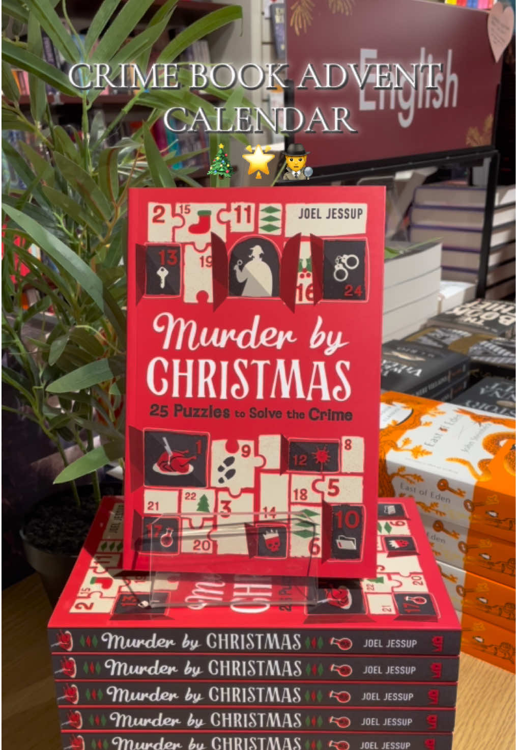One story. 25 puzzles to solve the crime. Can you solve it before it’s too late? This fun advent style crime book is the perfect way to count down to christmas🌟 Read one chapter each day leading up to christmas💫   #adventcalendar #bookadventcalendar #bookish #BookTok #christmasbook 