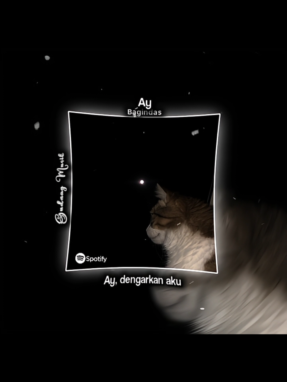 Bagian 049 | ayang, kurindu kamu😖 #lyrics #ay #songs #musik #spotify 