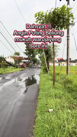 Dahsyatnya Angin sampai pohon terangkat 😭😭😭 #infonganjuk #nganjuk24jam #bencanaalam #anginputingbeliung #infowarujayeng 