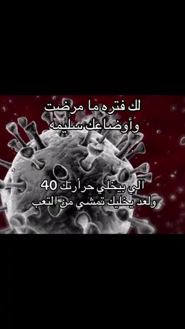 #الزبده_احراج #explore 