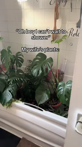 #terraria #jungle #plants #wife 