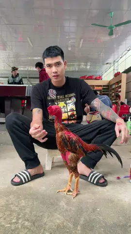 mốc nhẹ khô da ae sử lý luôn nhé@Sơn thoát vị 