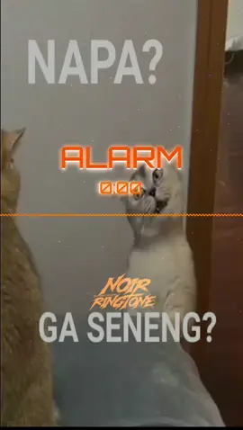 Jadikan Alarm Terbaru kalian📳📞🫨🤩🫣🫠🫨 #alarm #alarmclock #alarms #notifications #notification  #foryou #masukberanda #noir_ringtone🔊 