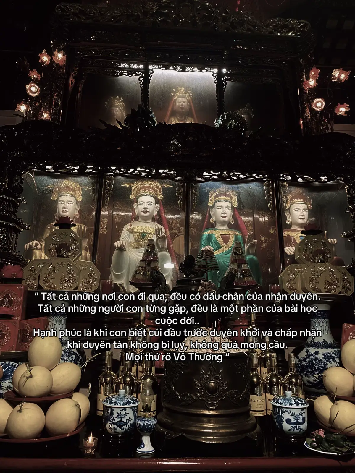 “ Tất cả những nơi con đi qua, đều có dấu chân của nhân duyên. Tất cả những người con từng gặp, đều là một phần của bài học cuộc đời.. Hạnh phúc là khi con biết cúi đầu trước duyên khởi và chấp nhận khi duyên tàn không bì lụy, không quá mong cầu. Mọi thứ rõ Vô Thường “ #codoc #suy #overthing #tramcam #buon 