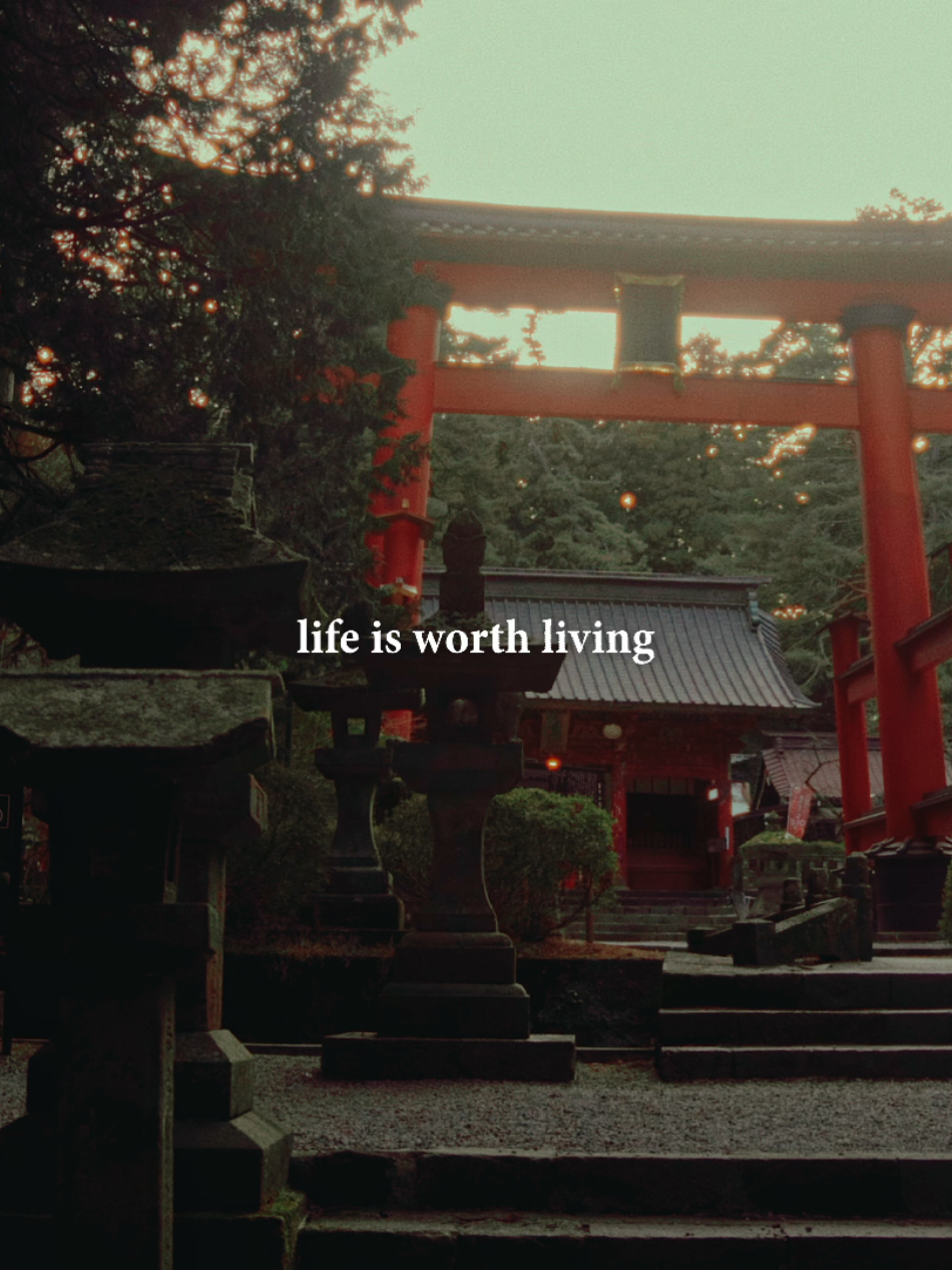 There is so much beauty in this world #traveltok #cinematic #living #sonyalpha #filmmaker 