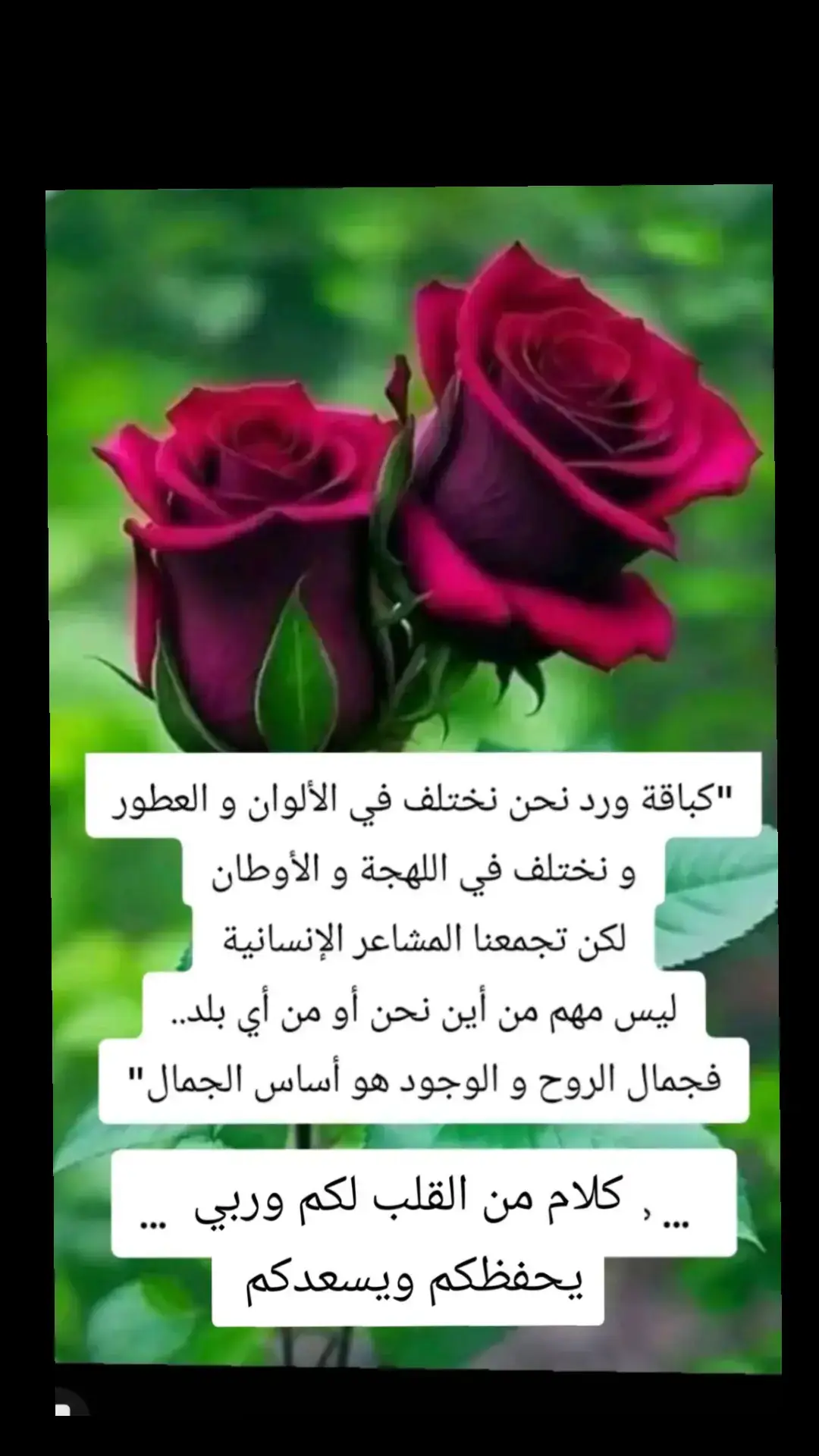#من_القلب_إلى_القلب❤ #عبارات_جميلة🦋💙 #كلام_جميل_جدا #حين_تزرع_السعادة_في_قلب_إنسان🥀🌷🌹🤲🏻💞 