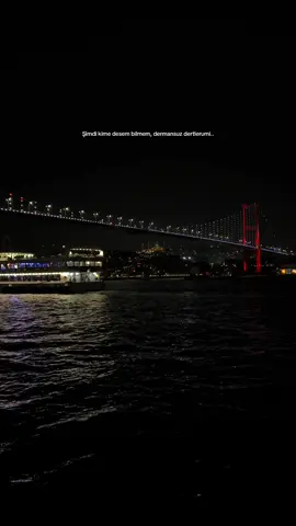 🦢🤍#istanbul #foryou #kesfet #fürdich #fypシ゚ 