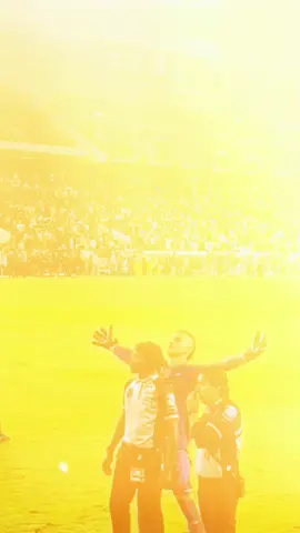 Tại sao có cổ động viên ném vật lạ xuống sân? #bongda #footballfacts #fanculture #bongdavui #viraltiktok 