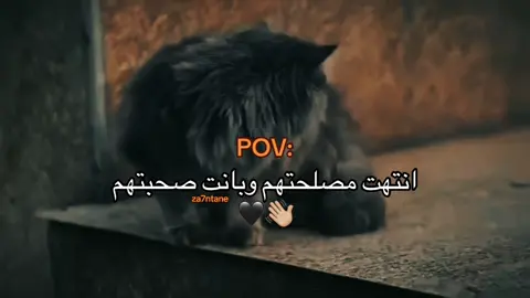 بانت ﮼صحبتكم👋🏼🖤 #تصميم_فيديوهات🎶🎤🎬 #شعب_الصيني_ماله_حل😂😂 #ليبيا_طرابلس_مصر_تونس_المغرب_الخليج 