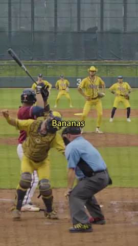 A collection of thesavbananas dance moves#savannahbananas #bananaball #foryou #dance #baseball