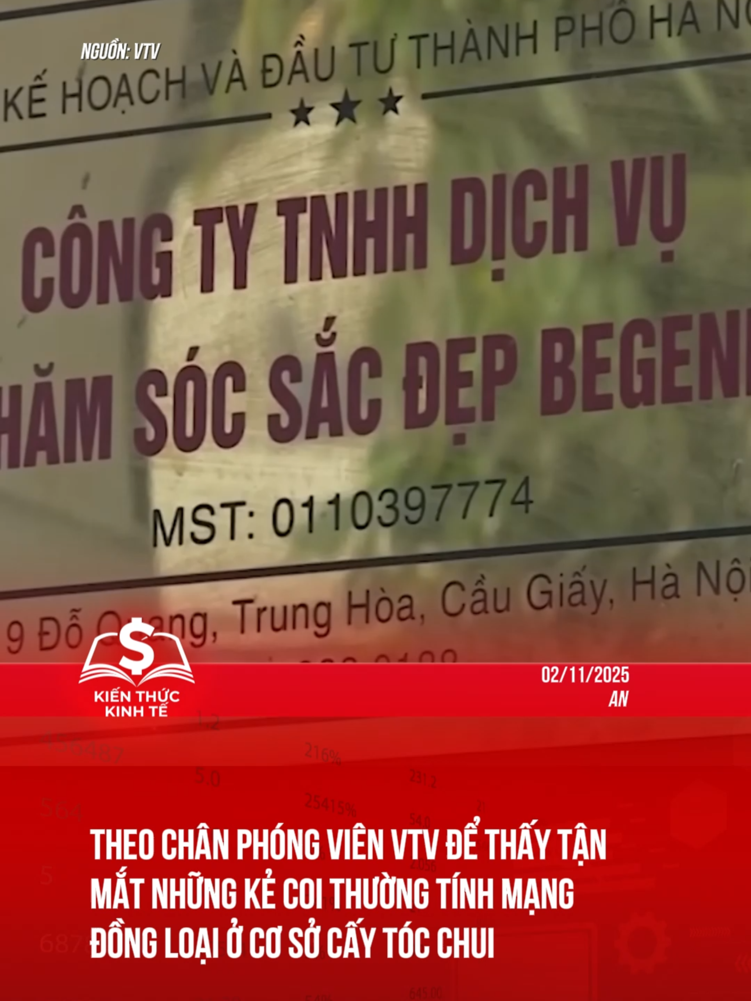 Cùng thâm nhập với VTV #kienthuckinhte #taichinhkinhte #tiktoknews
