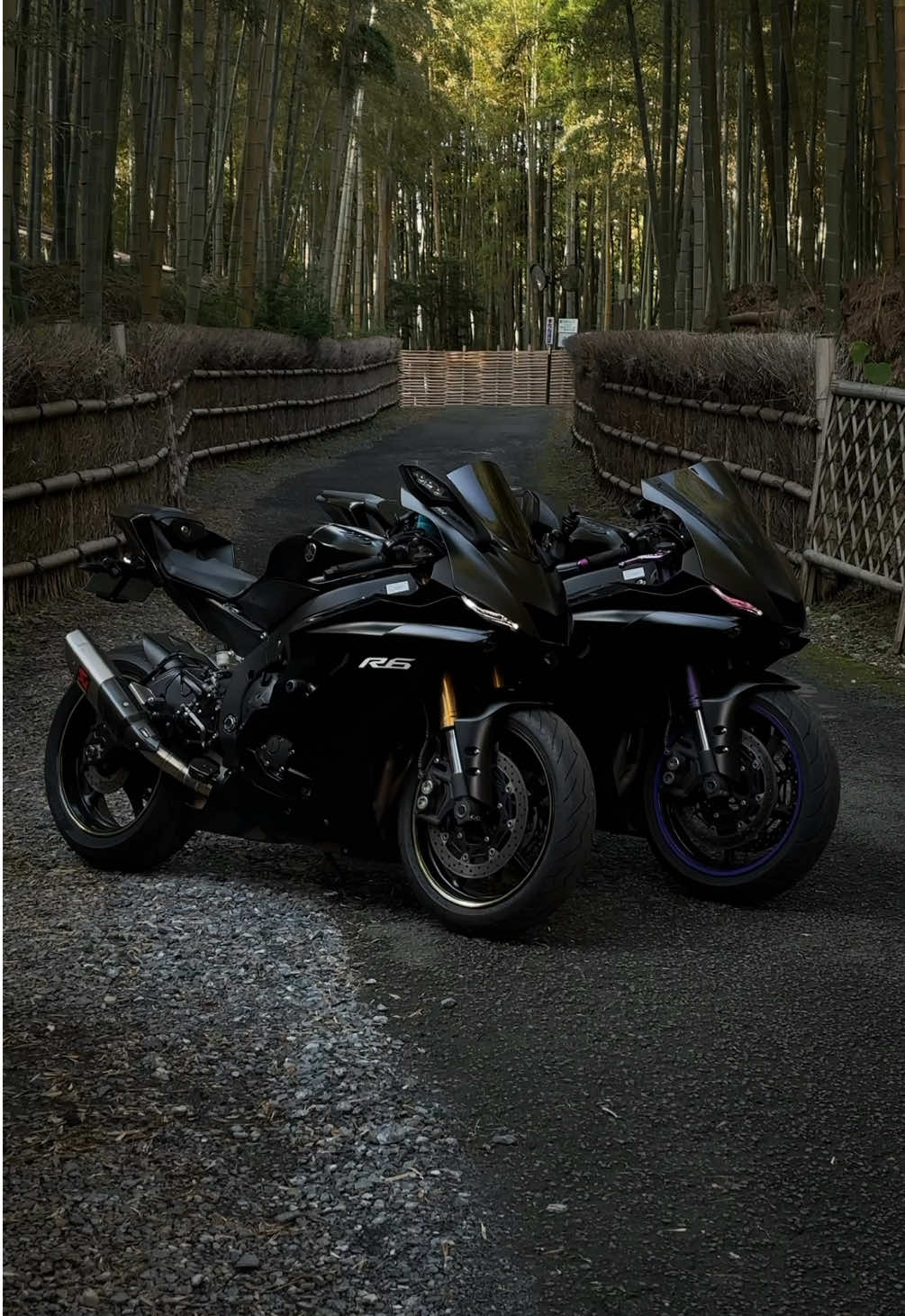 R6 × R6 w/ @くろまるちゃんねる  #yamahar6 #yamahar1 #fyp #motorcycle #bike 