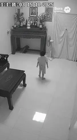 Không thể giải thích được 