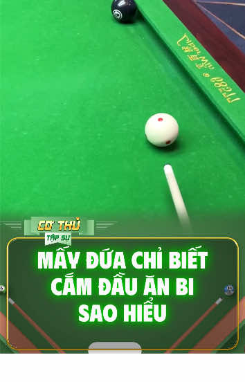 Cắm đầu ăn 8 rồi bạn chén hộ nhé #billiards #bia #cothutapsu 