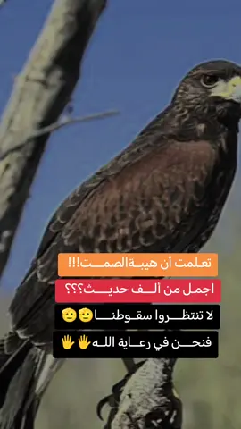 #جخو،الشغل،دا،يا،عالم،➕_❤_ #عباراتكم_الفخمه📿📌 #عبارات_جميلة_وقويه😉🖤 