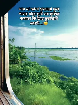 নাম না জানা হাজারো ফুল পথের ধারে ফুটে সব ফুলের কপালে কি আর ফুলদানি জোটে...!😔❤️🩹###